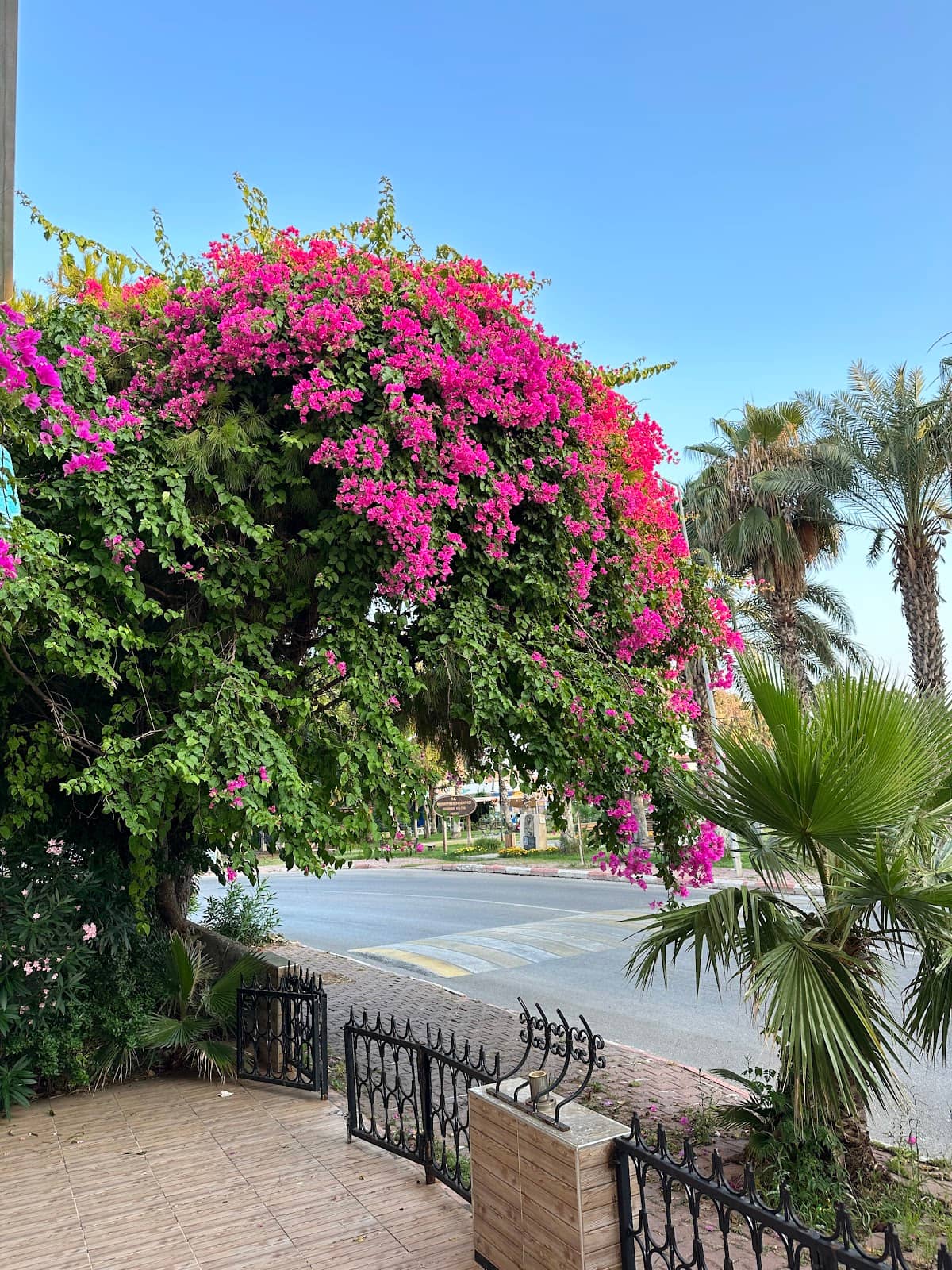 Scenic Views and Vibes