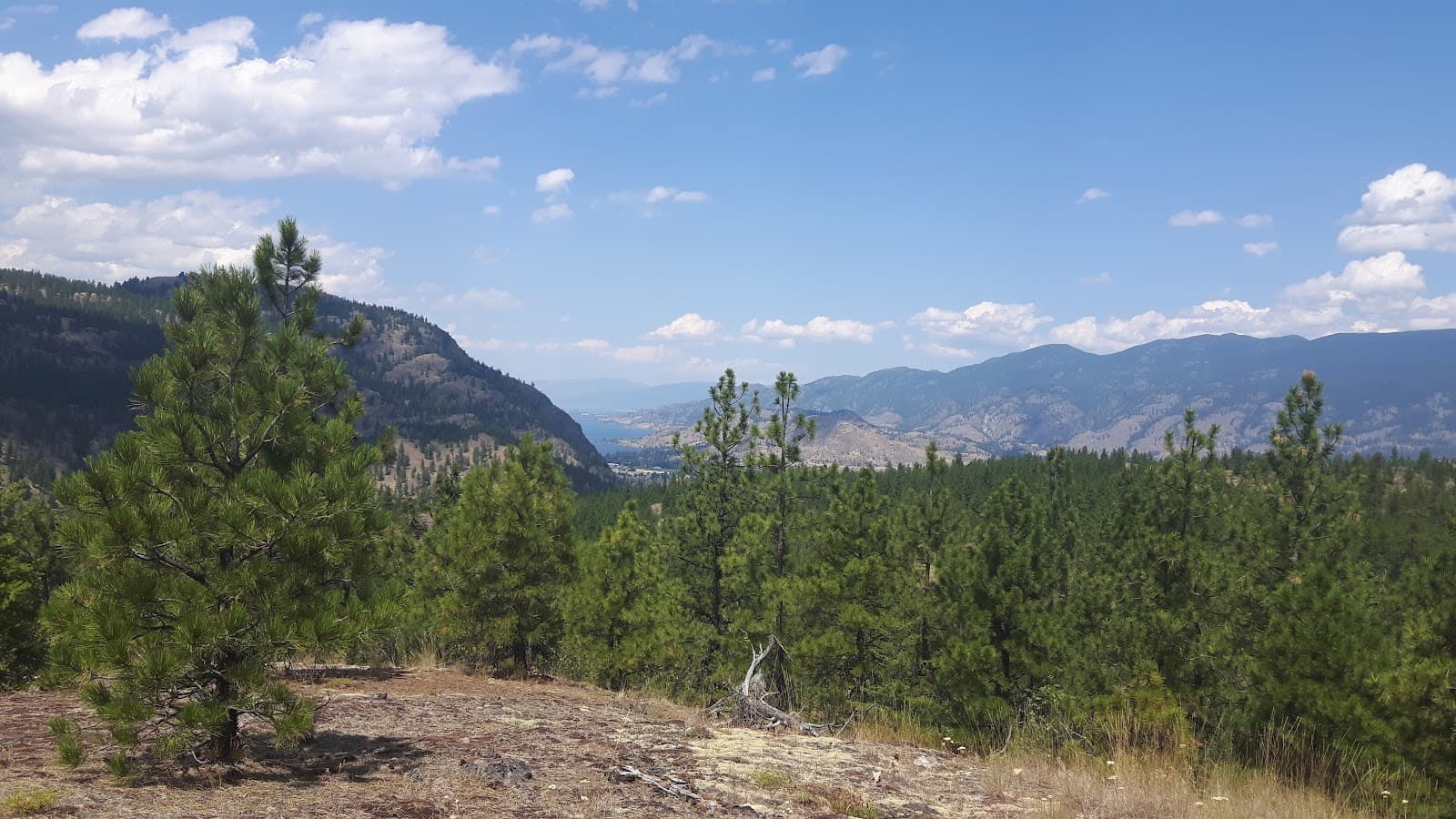 White Lake Grasslands Protected Area - Image 1