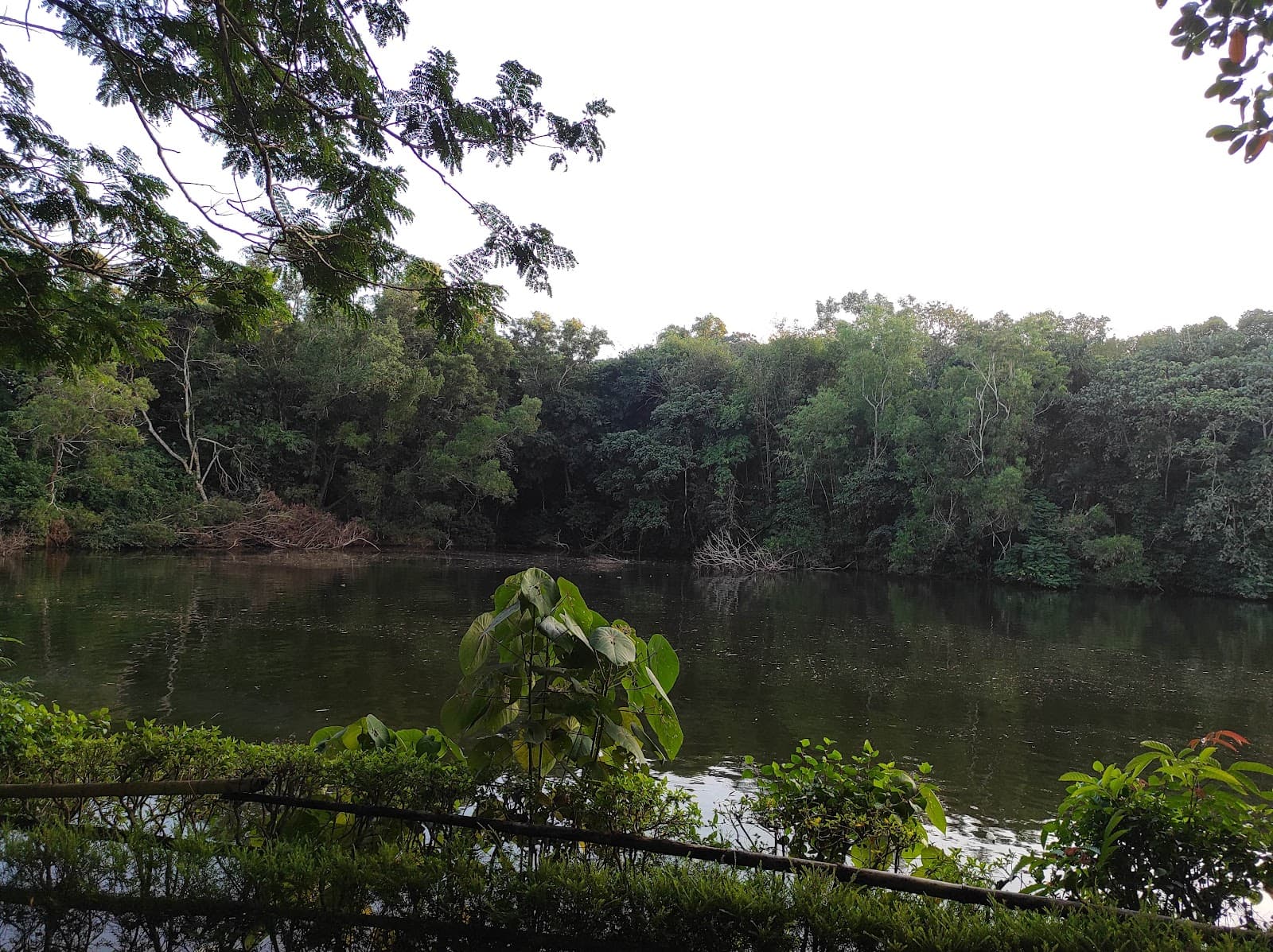 Pilikula Lakefront - Image 1