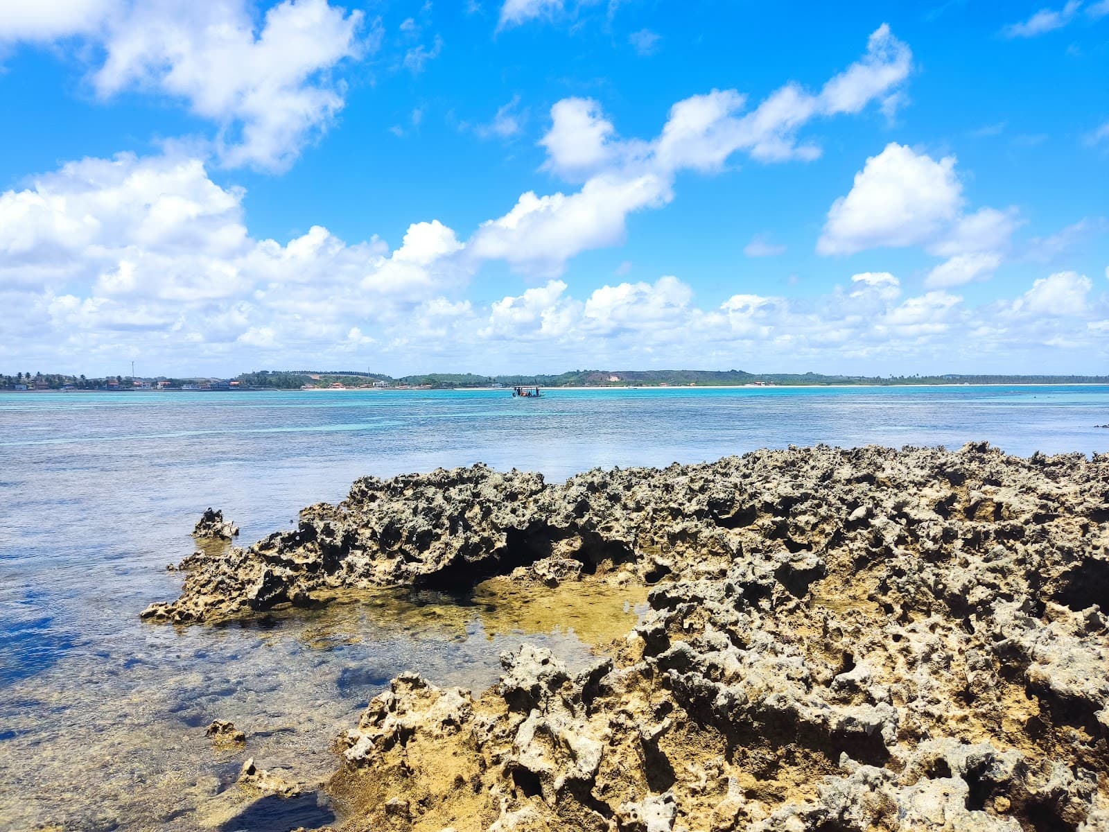 São José da Coroa Grande Natural Pools - Image 1