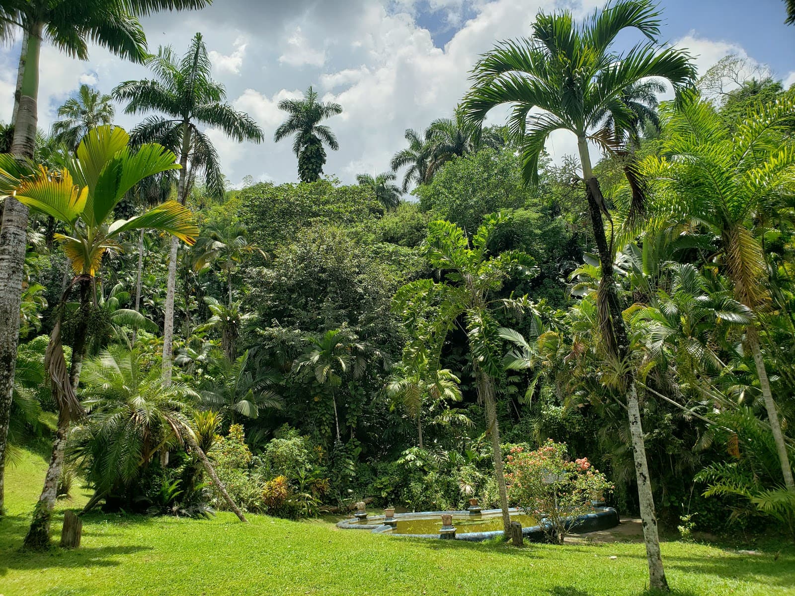 Castleton Botanical Gardens - Image 1