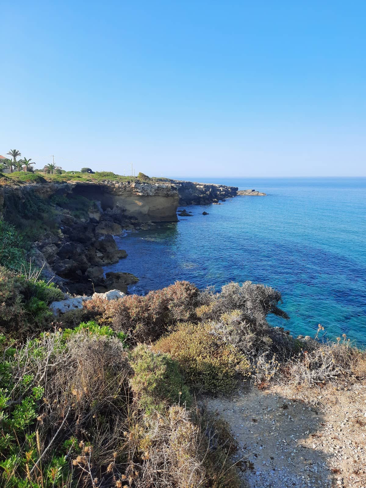 Plane Spotting Views