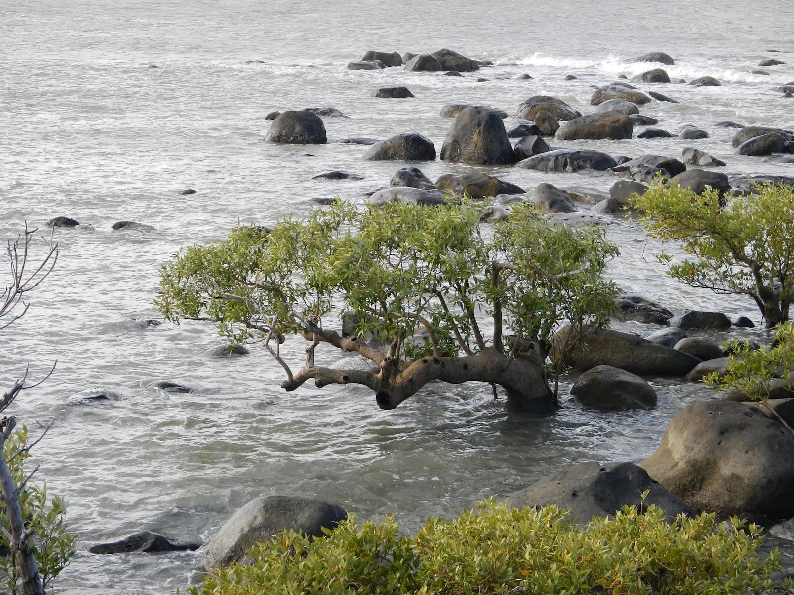 North Mission Beach - Image 1