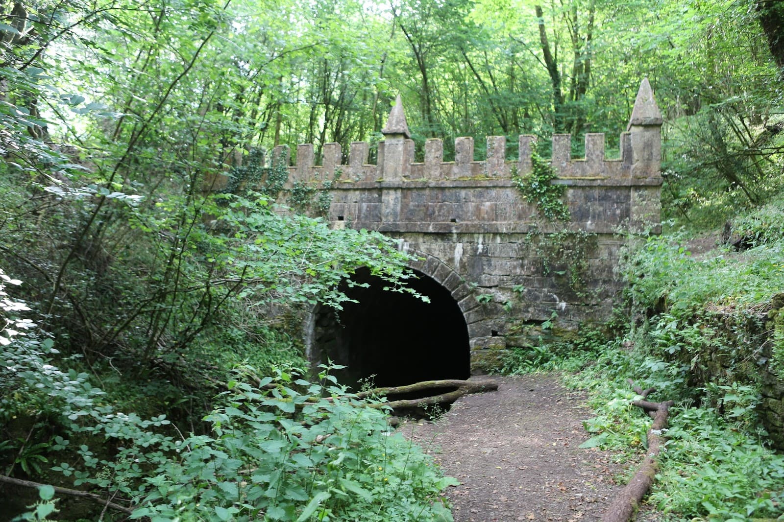 Sapperton Canal Tunnel (Coates Portal) - Image 1