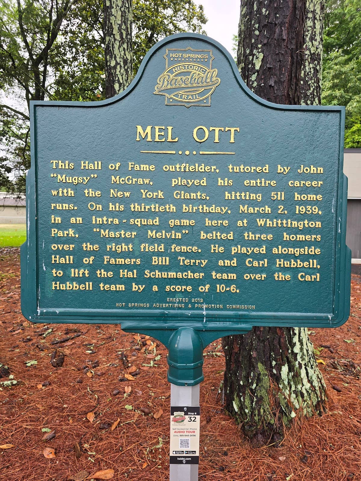 Hot Springs Mountain Tower