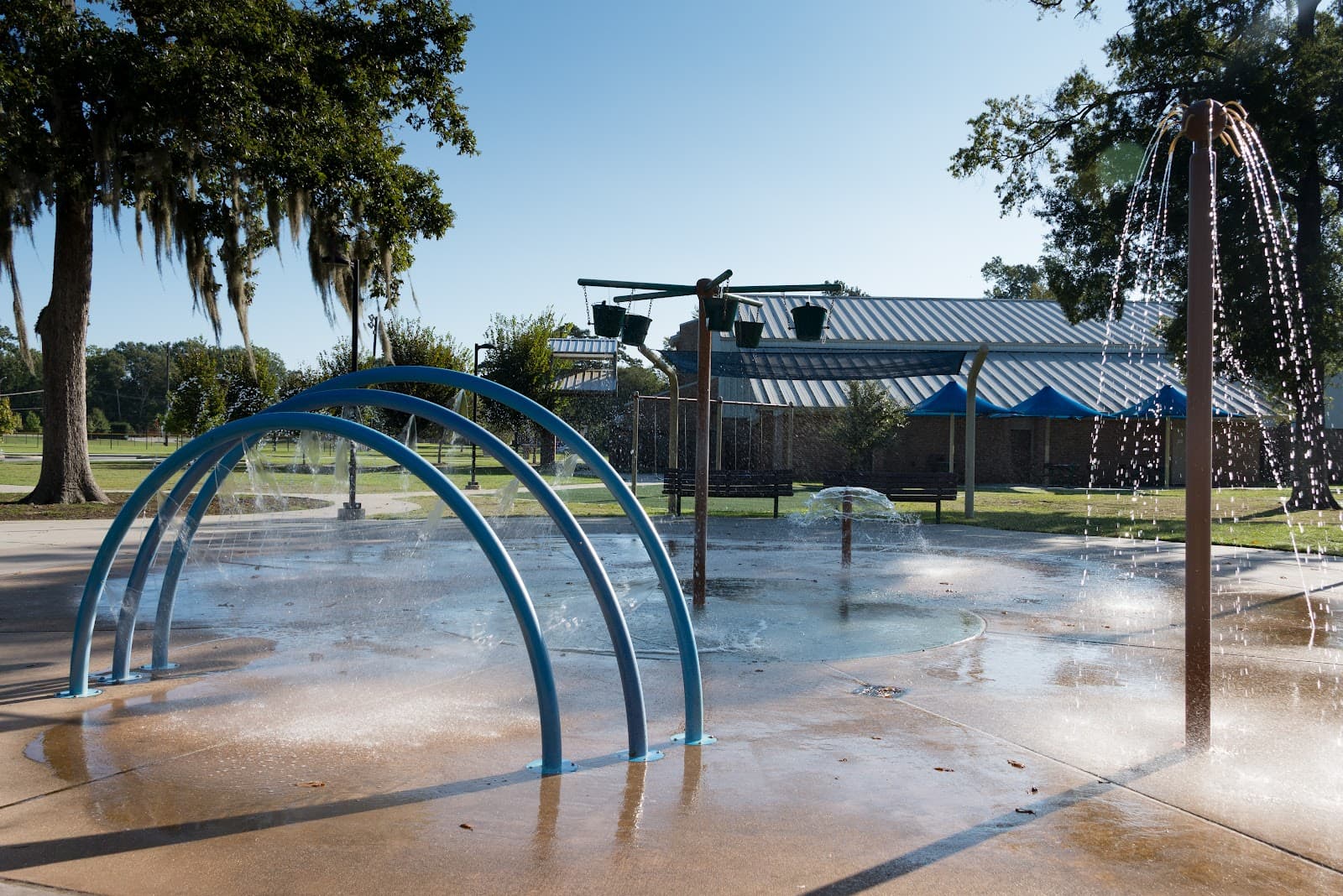 Forest Community Park - Image 1