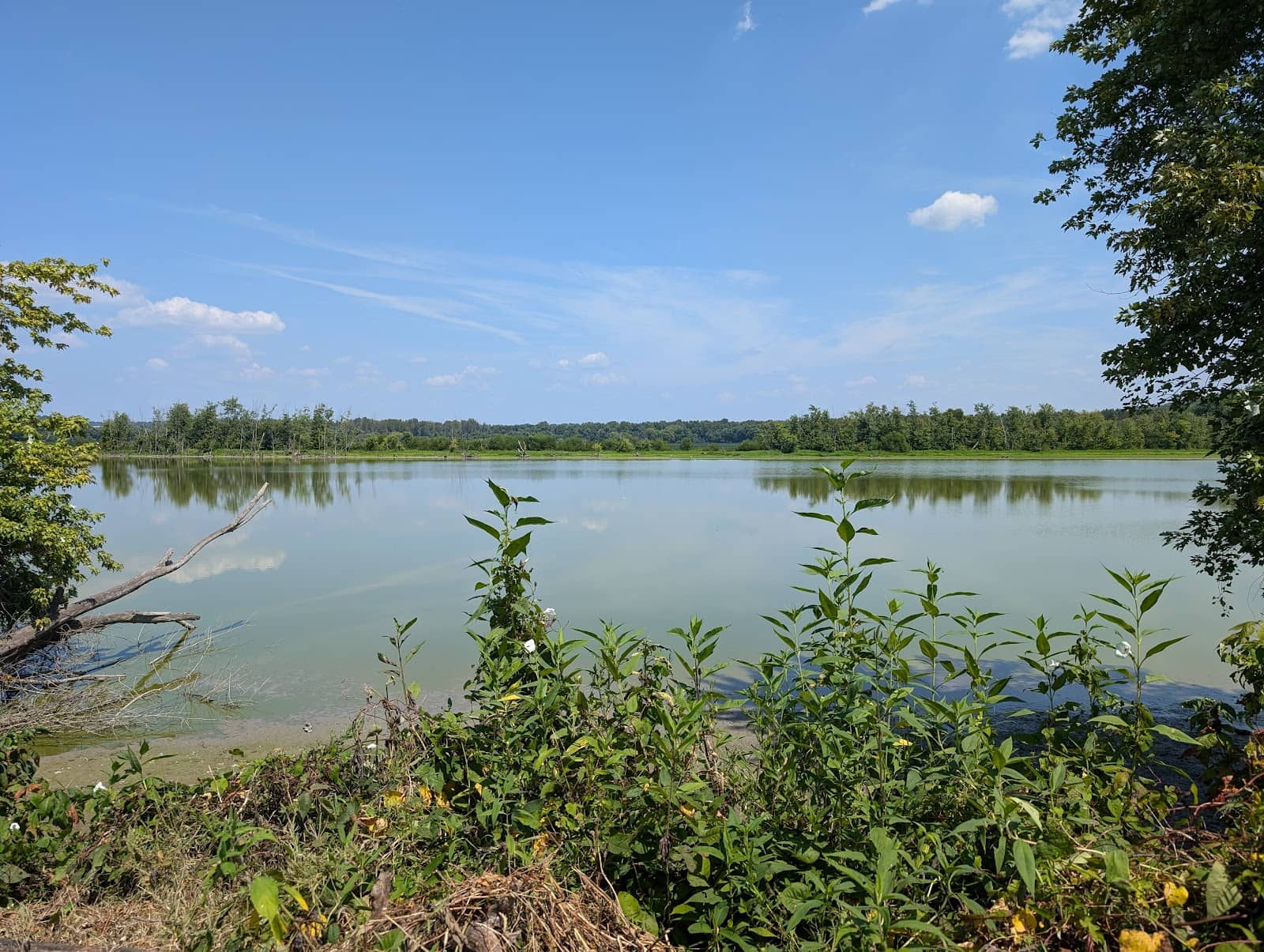 Wildlife Photography Opportunities