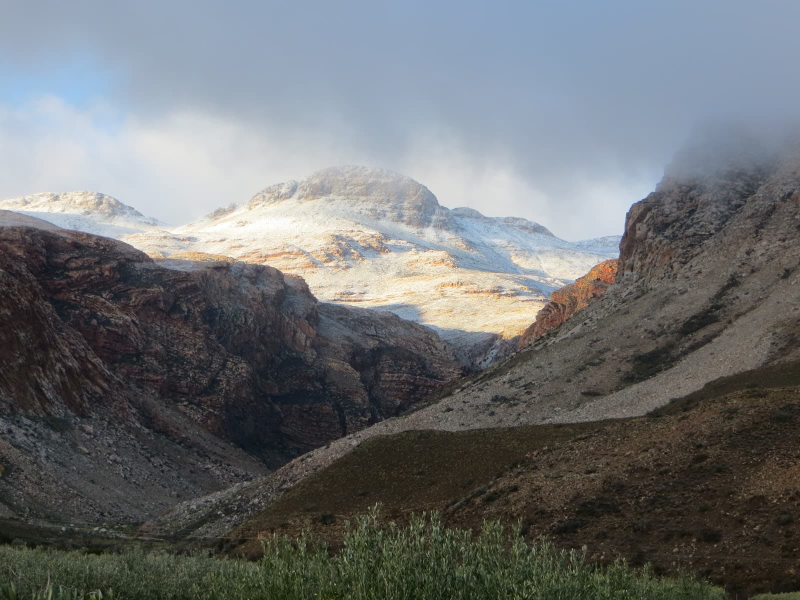 Kredouw Olive Estate - Image 1