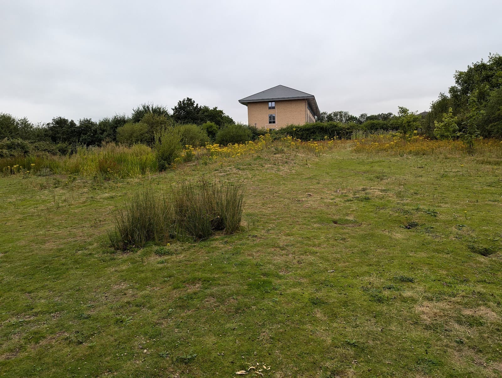 Springfield Lyons Bronze Age Enclosure - Image 1