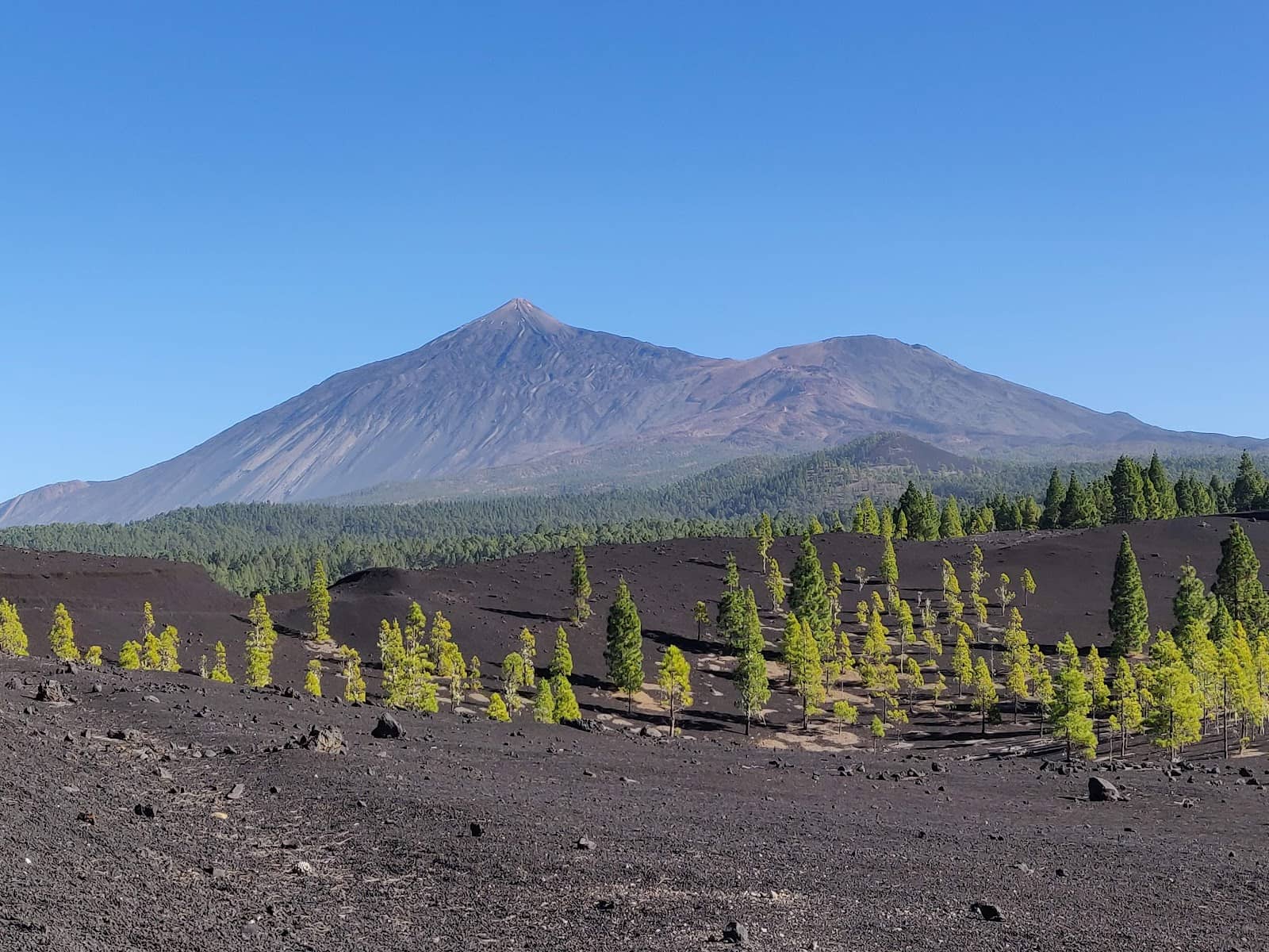 Chinyero Circular Trail