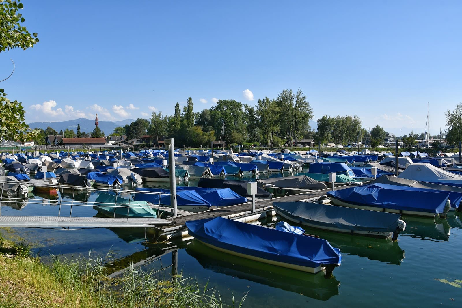 Harder Hafen and Mole - Image 1