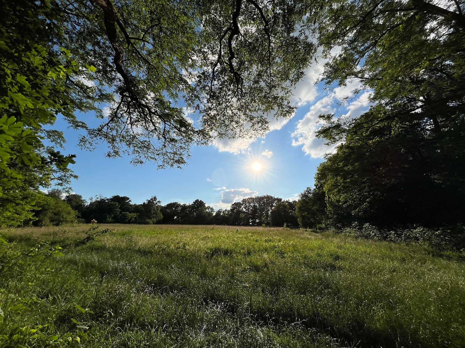 Groote Heide (Venlo) - Image 1