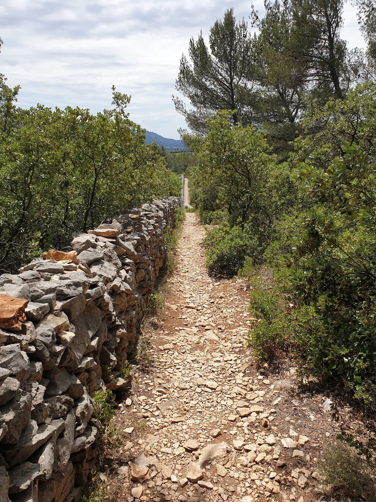 Plague Wall Trail - Image 1