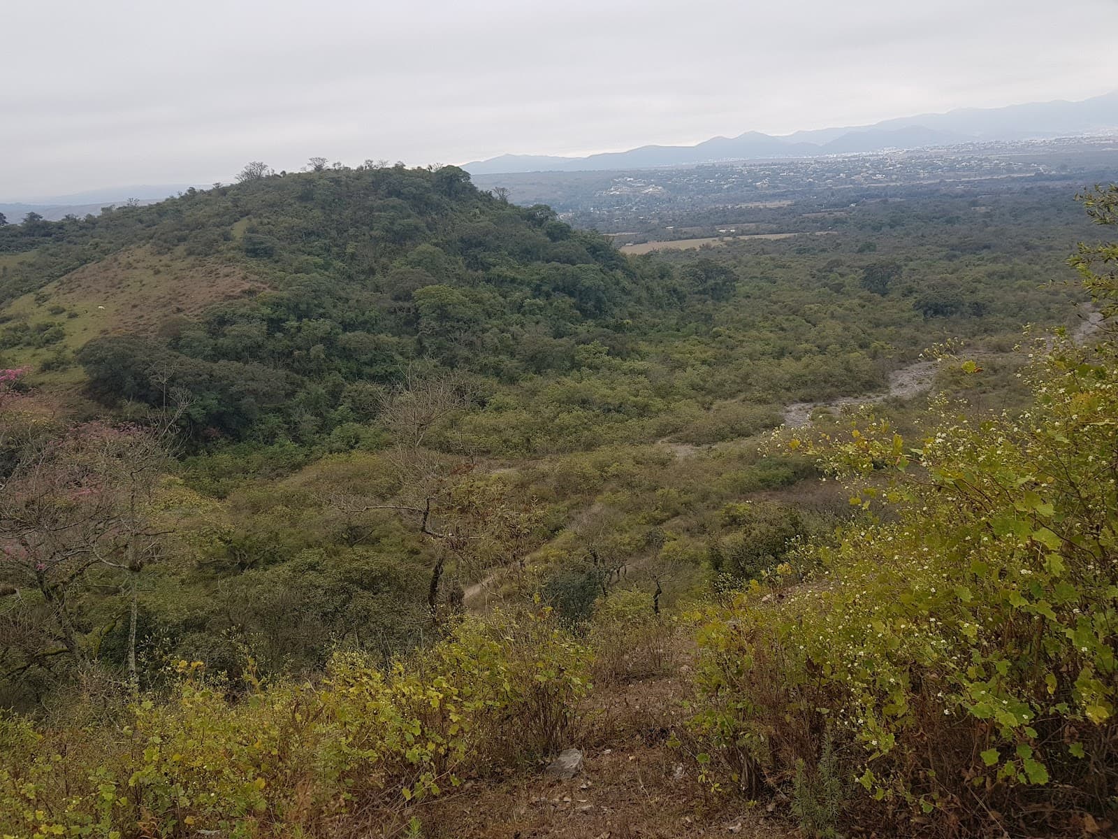 Reserva Natural Finca Las Costas - Image 1