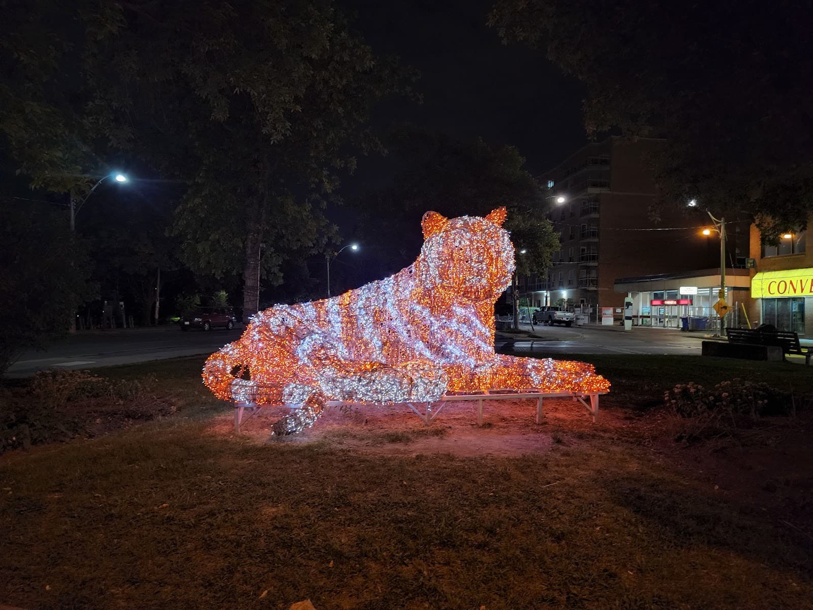Bloor Street West (between Spadina and Christie) - Image 1
