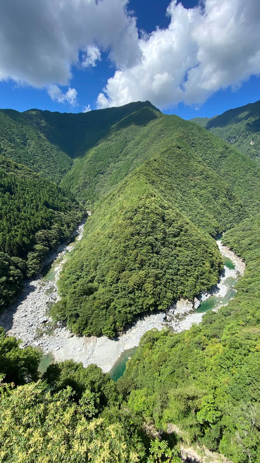 Majestic Green Hills