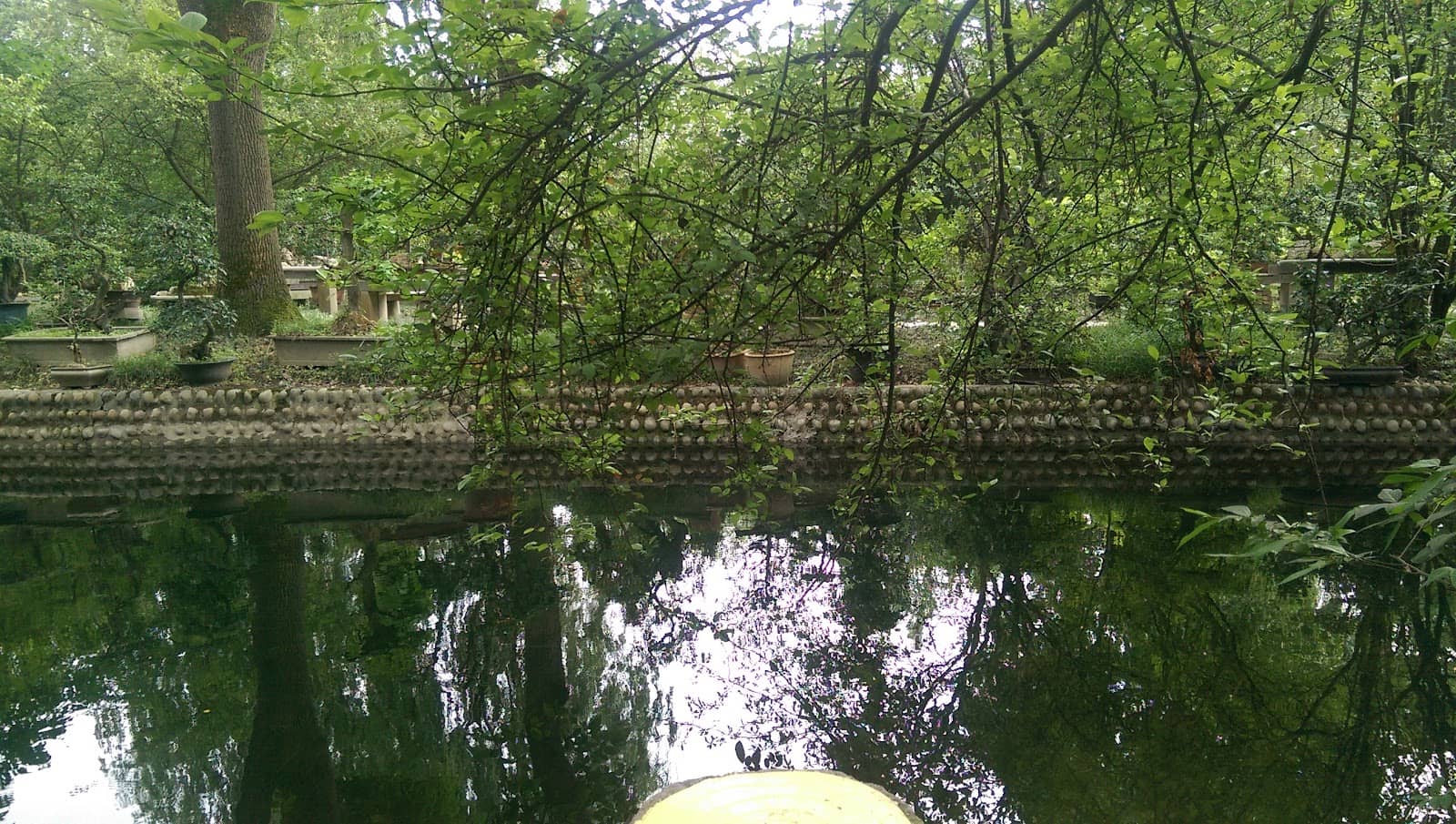 Vertical photo