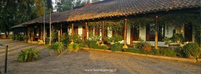 Family History & Passion