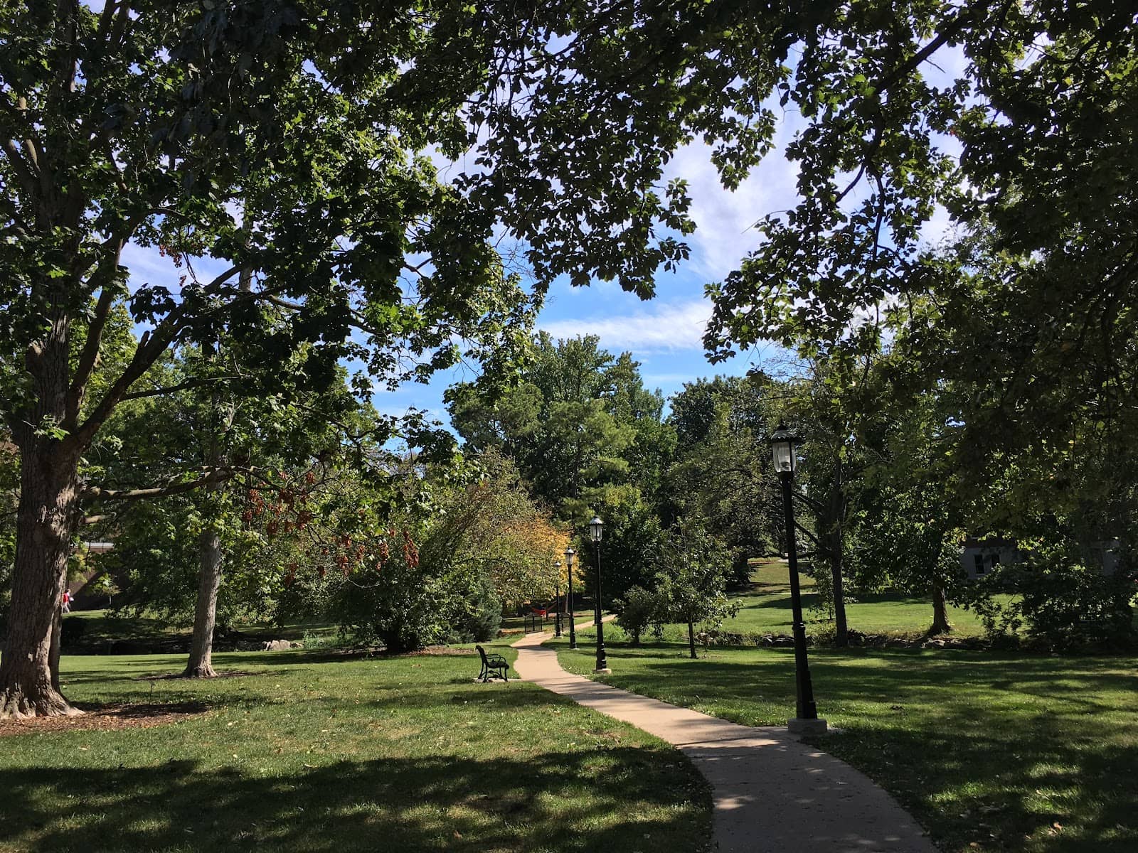 Austin's Artistic Oasis