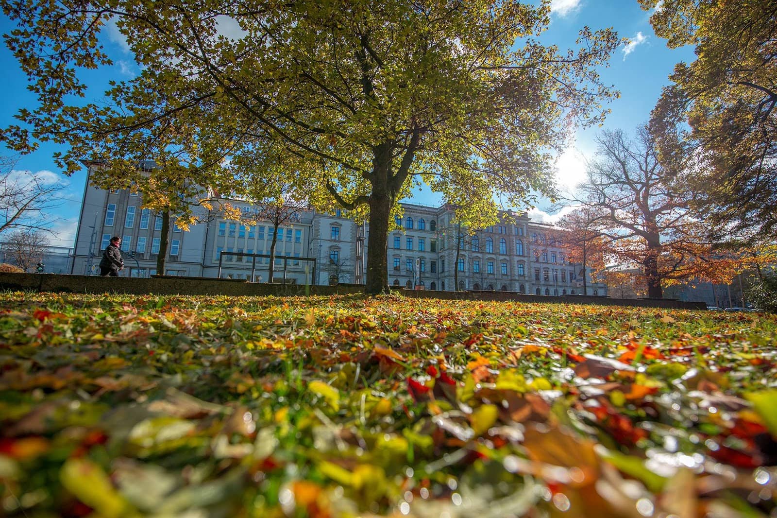 Web Engineering Innovation