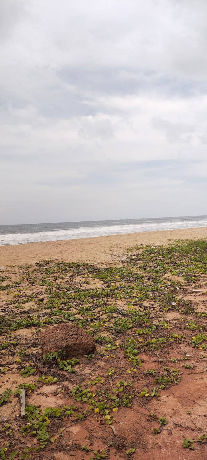 South Cliff Serenity