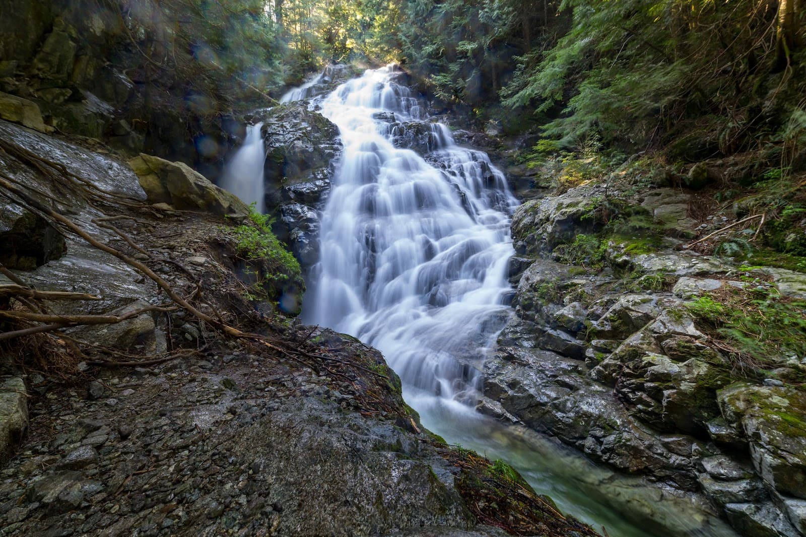 Kennedy Falls and Big Cedar - Image 1