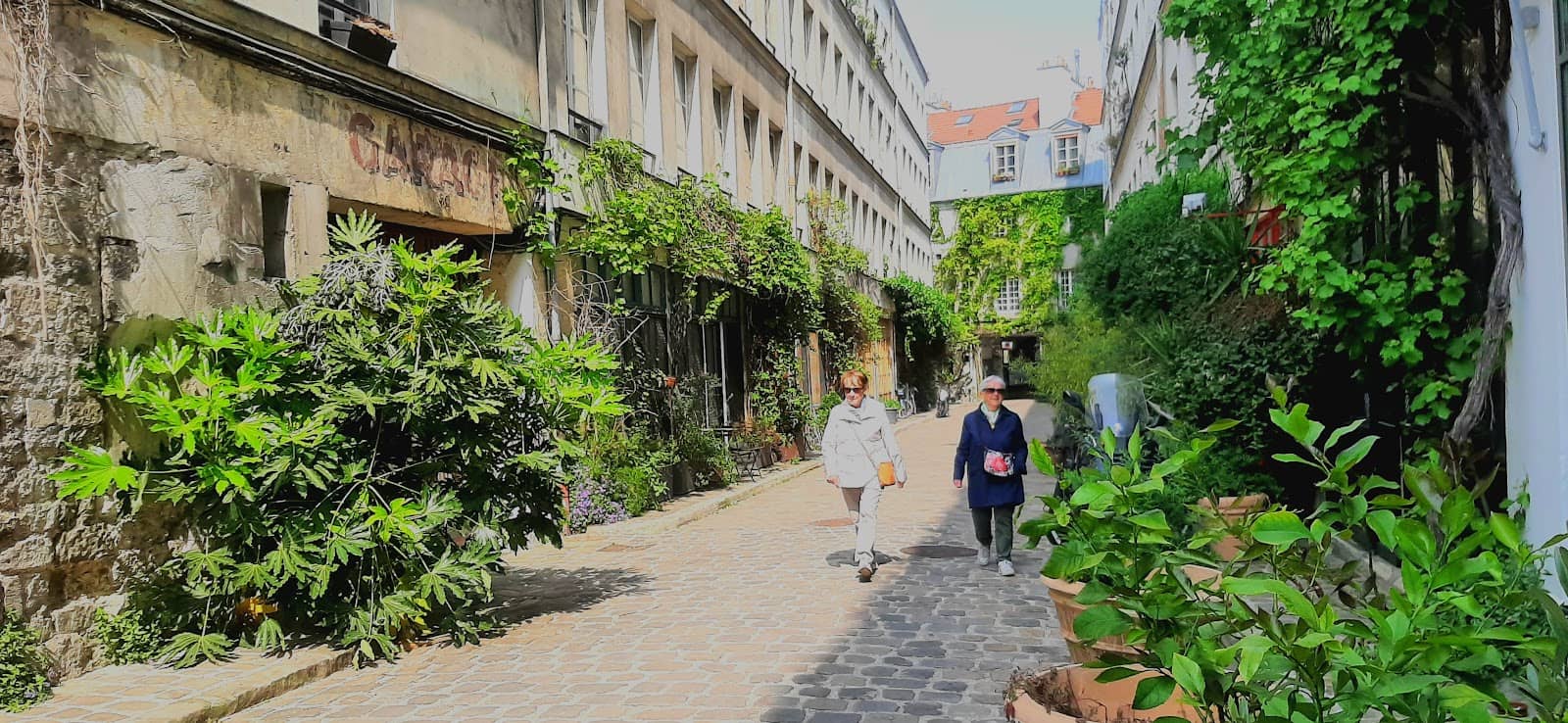 Giorgio (Dalmata) Brunch