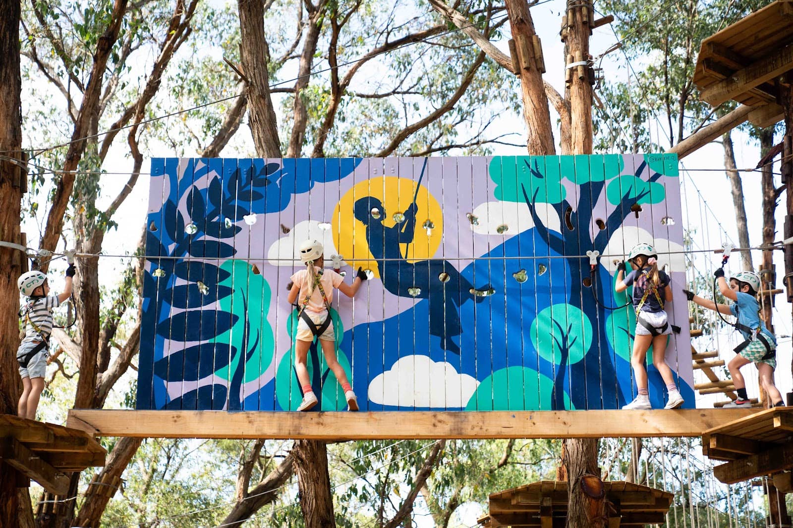 Tree Surfing Adventure