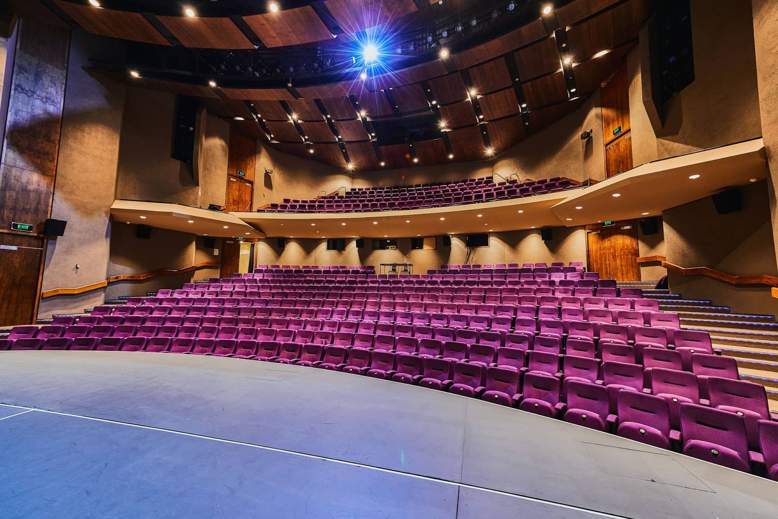 Local Talent Showcases