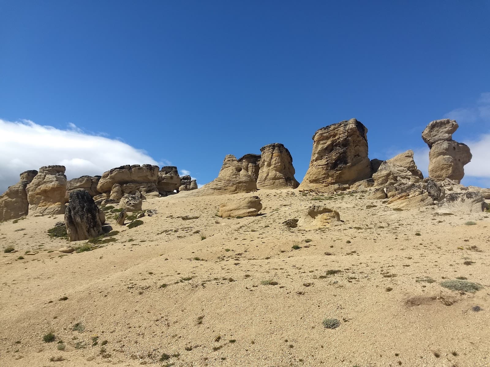 Calafate Mountain Park Cerro Huyliche - Image 1