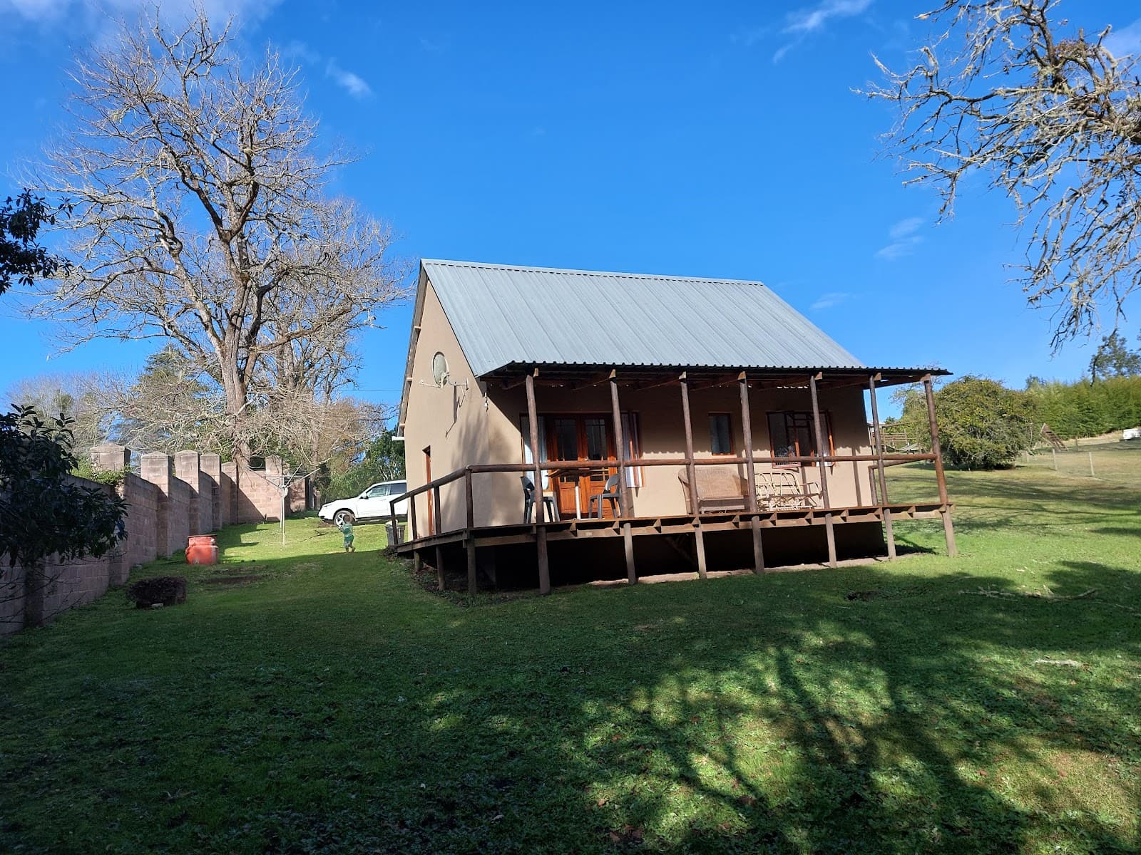 Harkerville Forest - Image 1