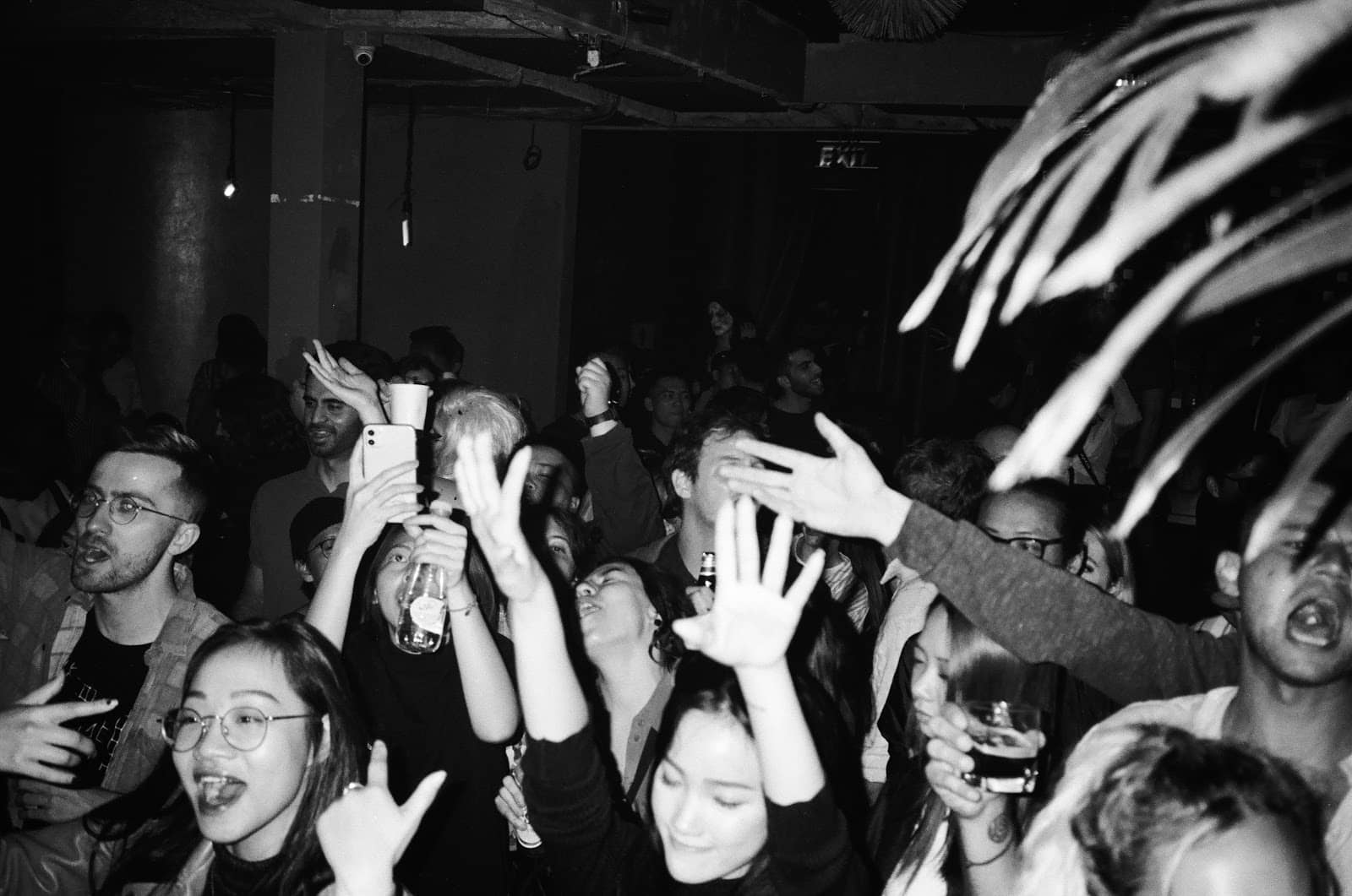 Spectacular Drag Queen Shows