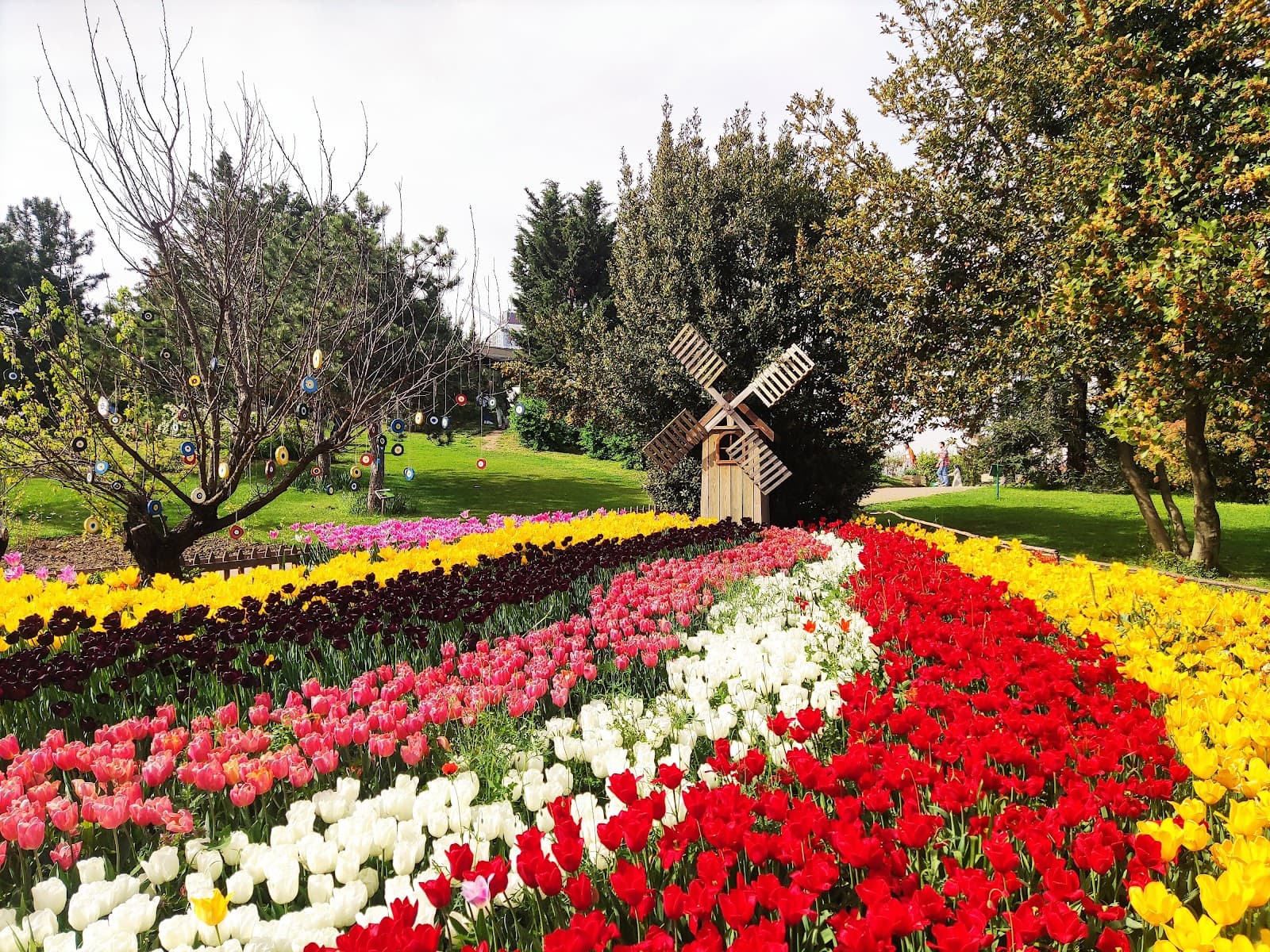 Nezahat Gökyiğit Botanical Garden - Image 1