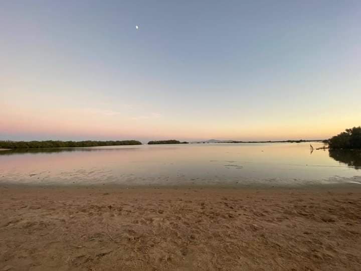 Nabq Protected Area - Image 1