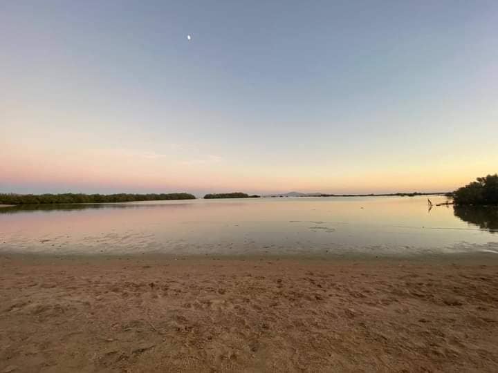 Bedouin Camps & Desert Landscapes