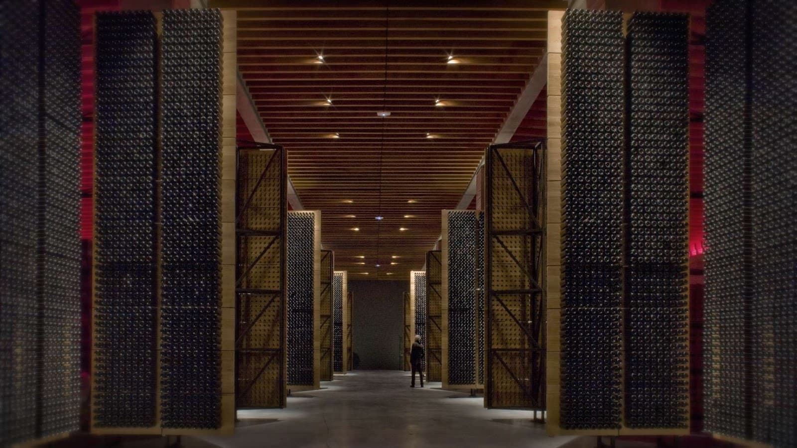 Bodegas Portia (Norman Foster) - Image 1