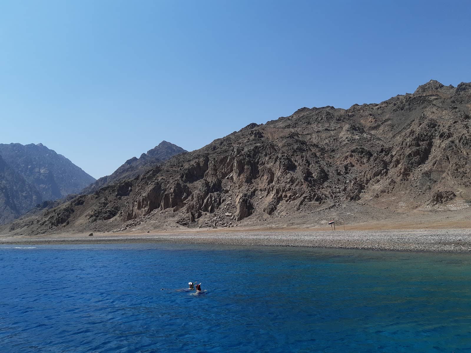 Marine Life Encounters