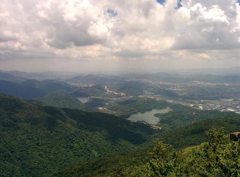 Qingxi Forest Park - Image 1