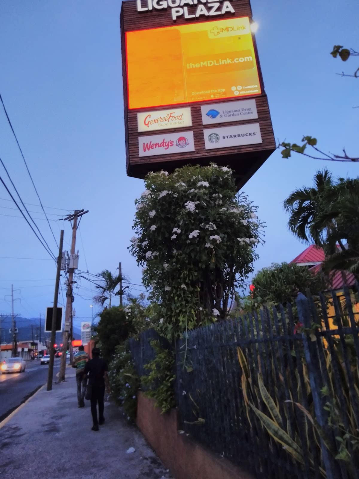 Liguanea Post Office Mall