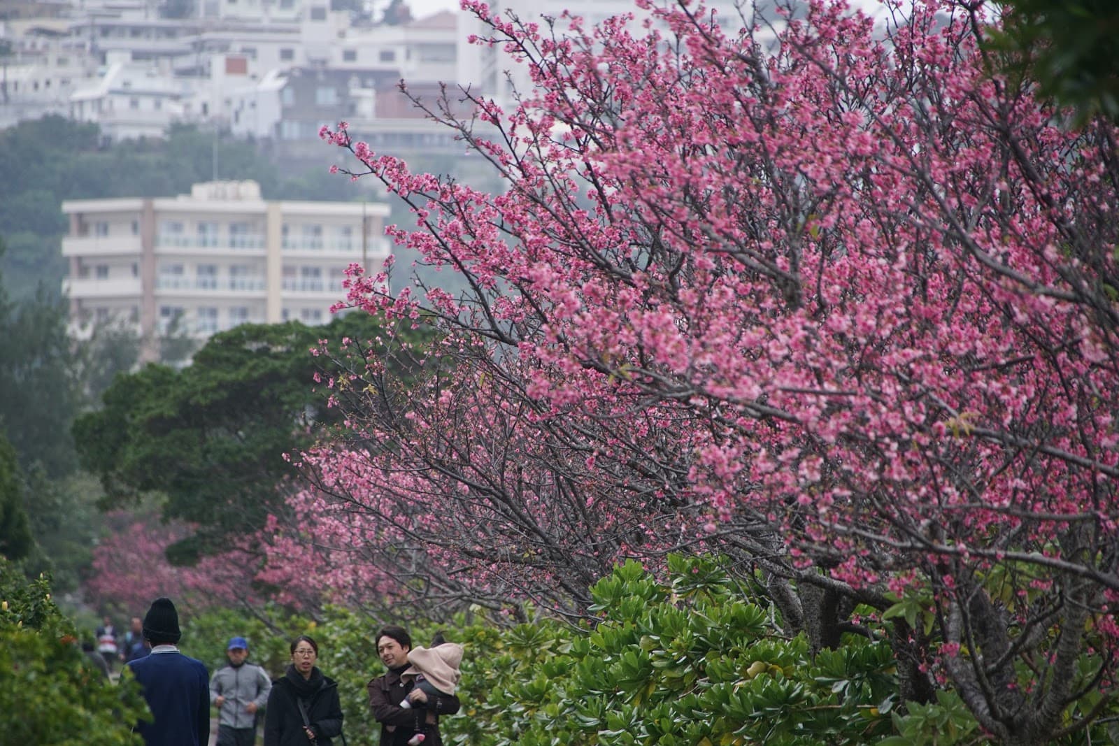 Manko Park - Image 1