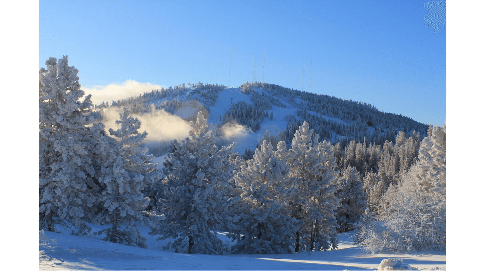 Cozy Chalets & Lodging