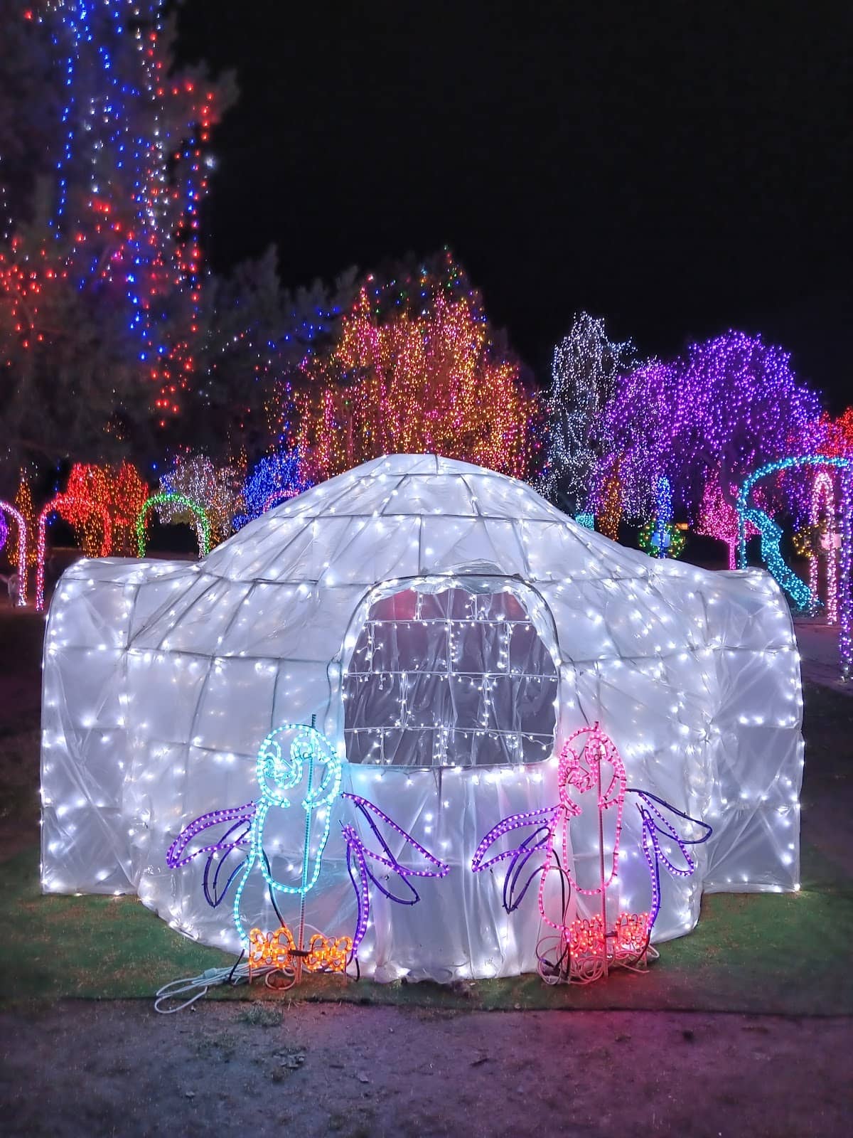 Festive Winter Wonderland