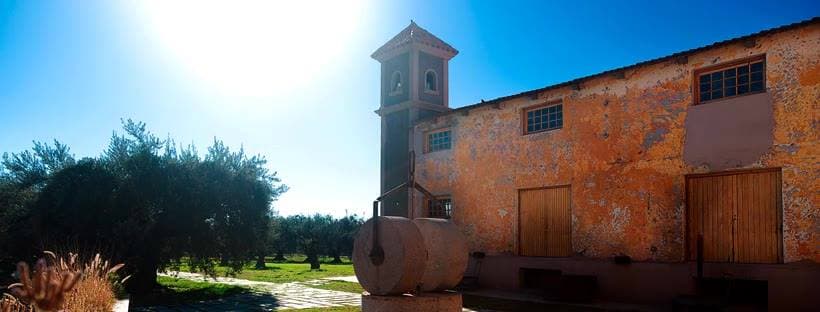 Olivícola Laur - Image 1