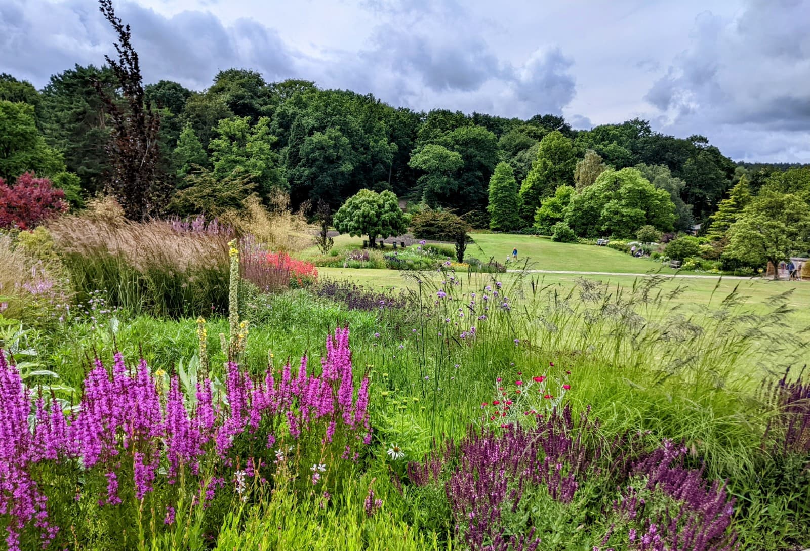 RHS Garden Harlow Carr - Image 1