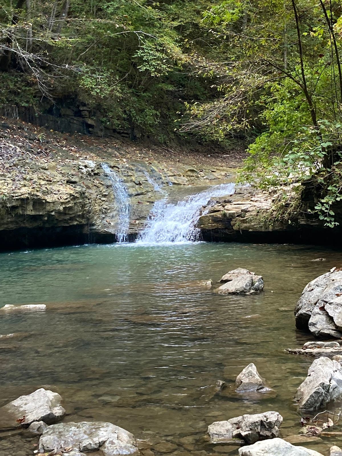 Walls of Jericho (Forever Wild) - Image 1