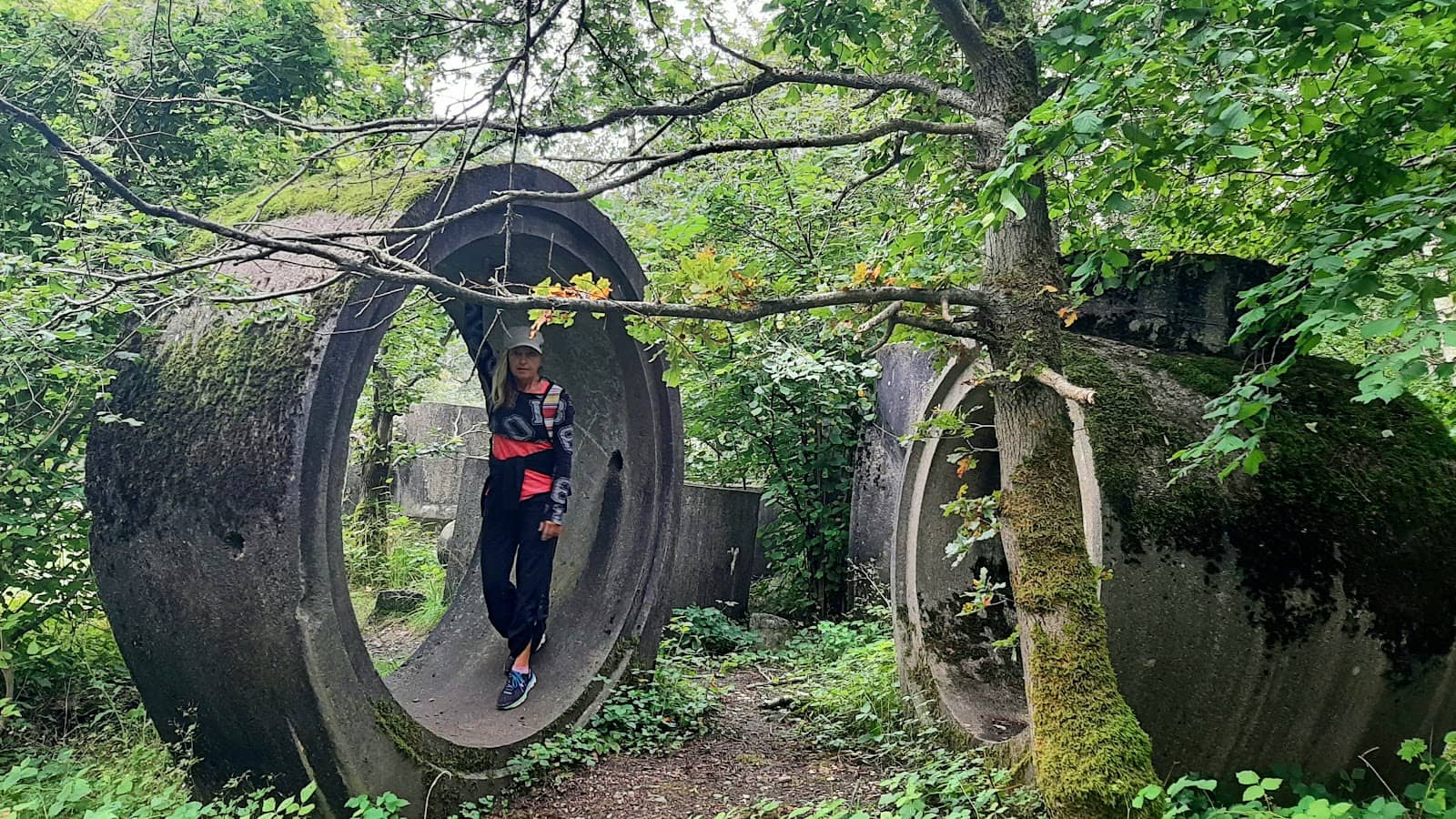 Wildlife Observation