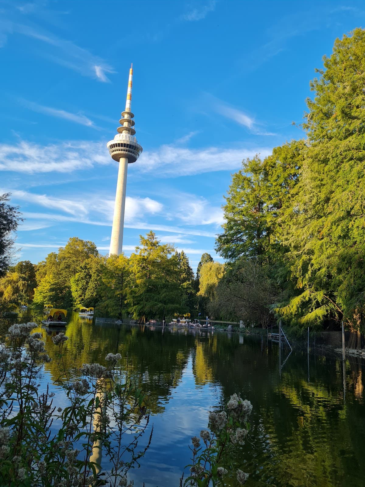 Spinelli Park - Image 1