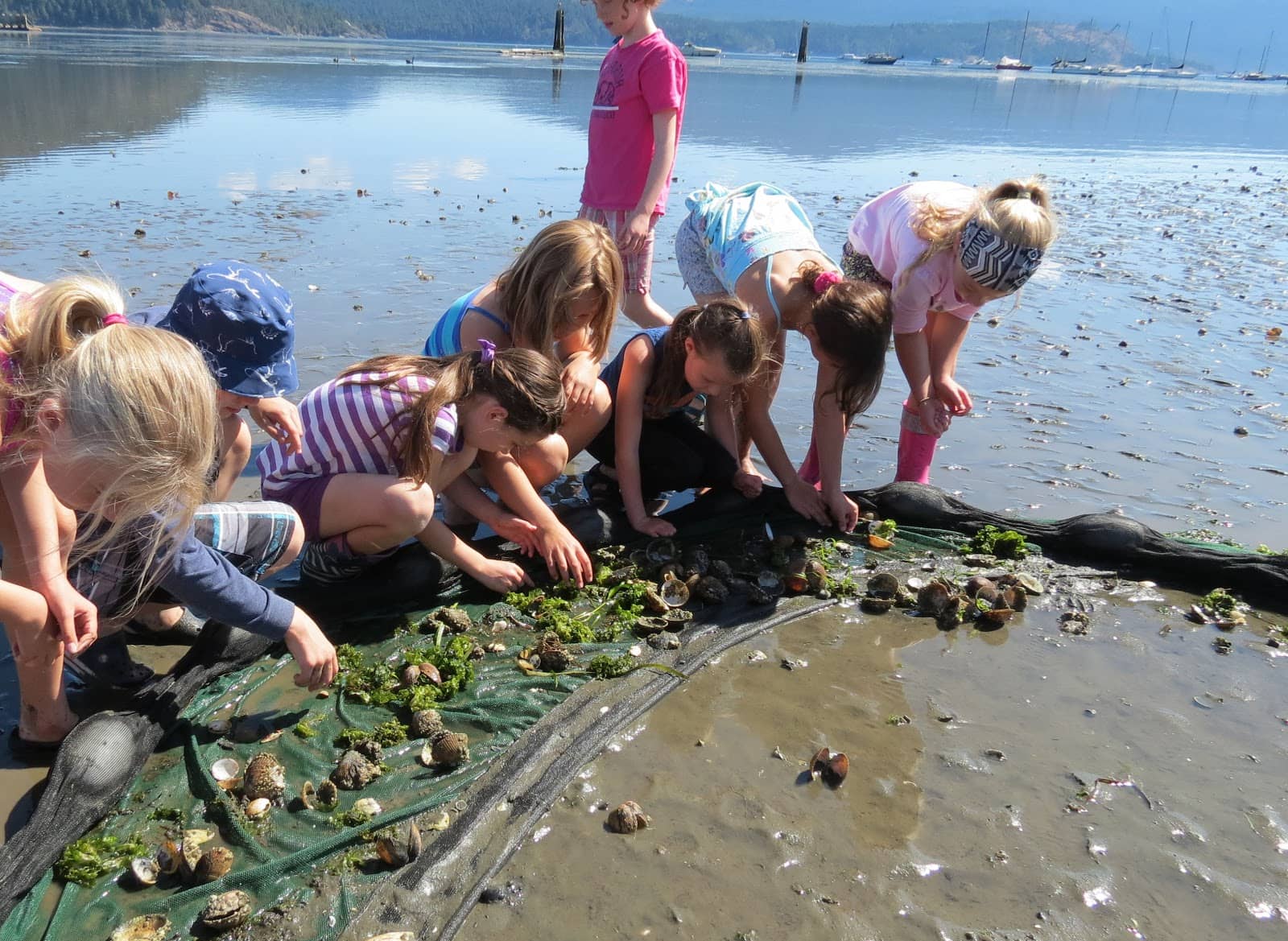 Peaceful Estuary Walks