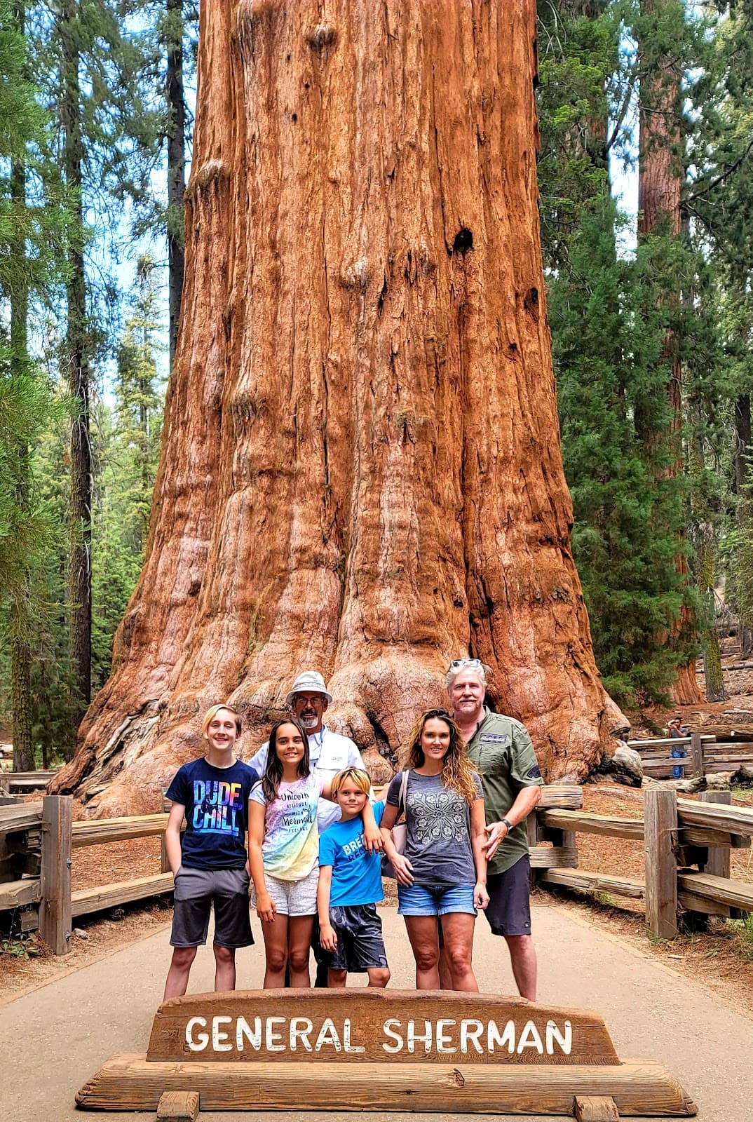 General Sherman Tree - Image 1