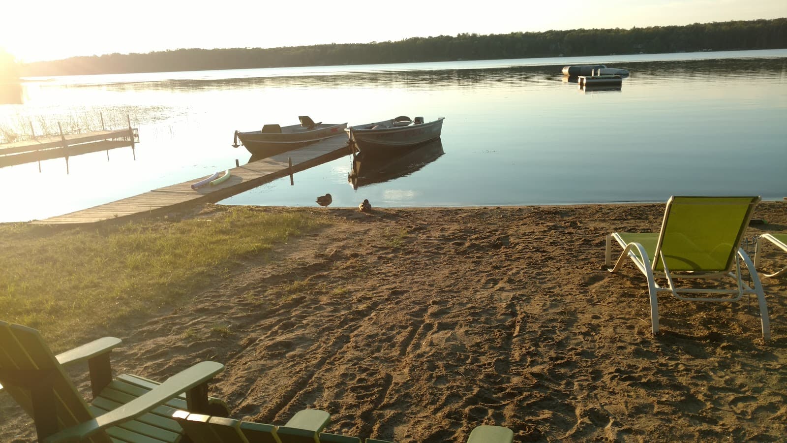 The Owl's Nest - Image 1